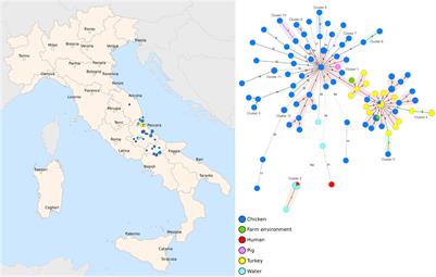 The Current Landscape of Antibiotic Resistance of Salmonella Infantis in Italy: The Expansion of Extended-Spectrum Beta-Lactamase Producers on a Local Scale